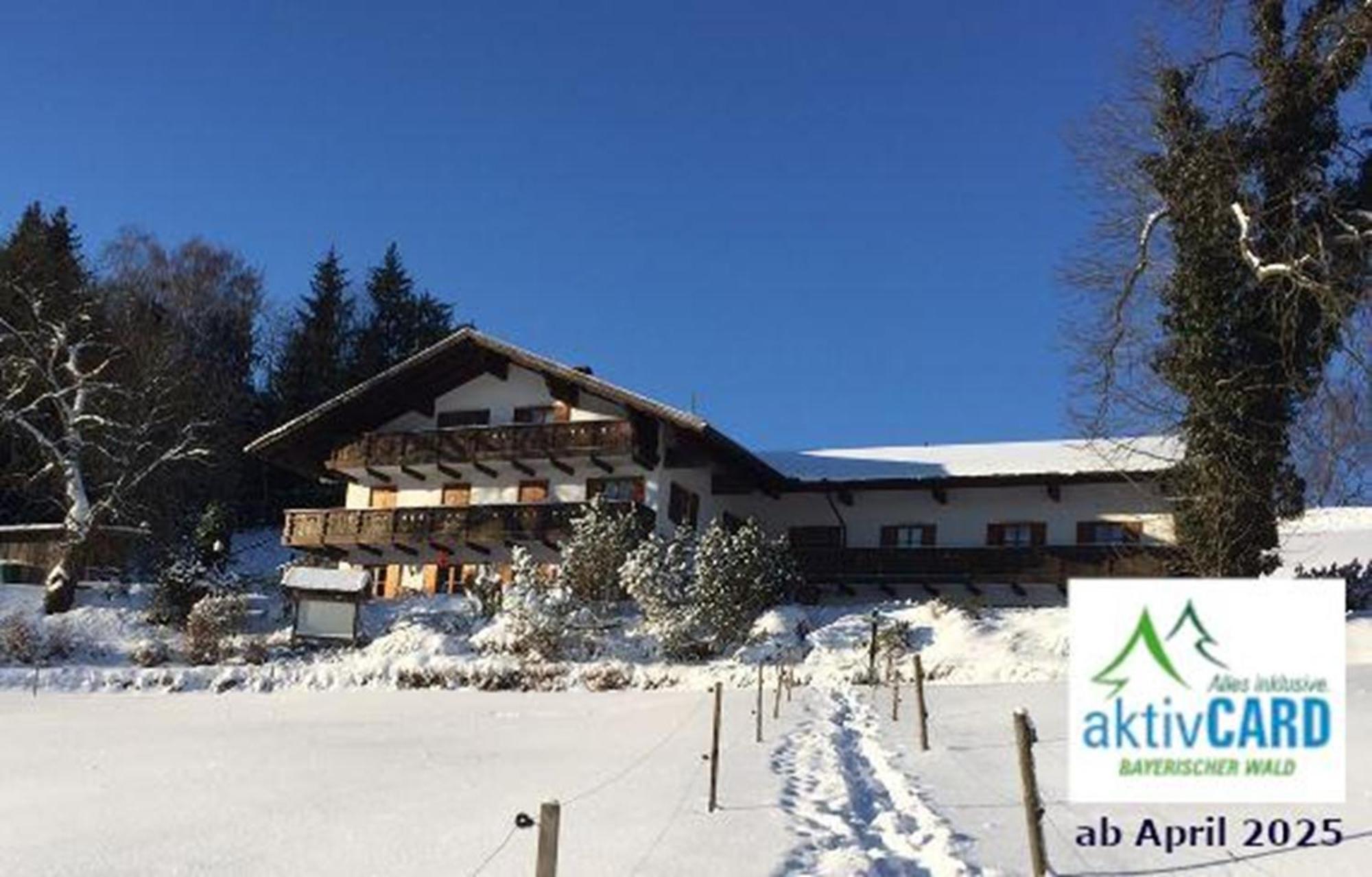 Апартаменти Haus Am Osterbruennl Ruhmannsfelden Екстер'єр фото